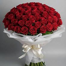 Букет 101 Красная роза Блэк Мэджик в Нижних-Сергах