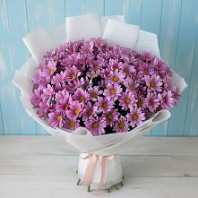 Букет цветов из:  Хризантемы в Нижних-Сергах