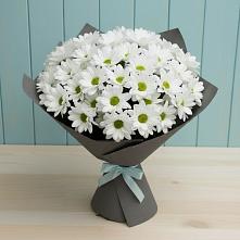 Букет цветов из:  Хризантемы #REPLACE_PRED# Нижних-Сергах