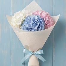 Букет цветов из:  Гортензия #REPLACE_PRED# Нижних-Сергах