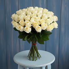 Букет 51 Белая роза Эдлесс Лав #REPLACE_PRED# Нижних-Сергах