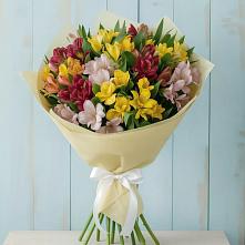 Букет цветов из:  Альстромерии в Нижних-Сергах