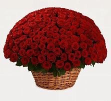 Премиум букет из: Розы в Нижних-Сергах