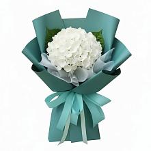 Букет цветов из:  Гортензия в Нижних-Сергах